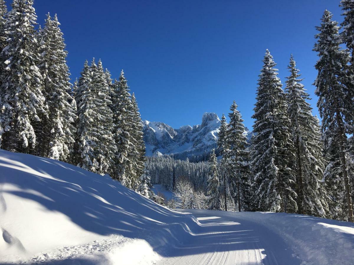 Apartment Kraemerhaus Annaberg, Dachstein West Ngoại thất bức ảnh