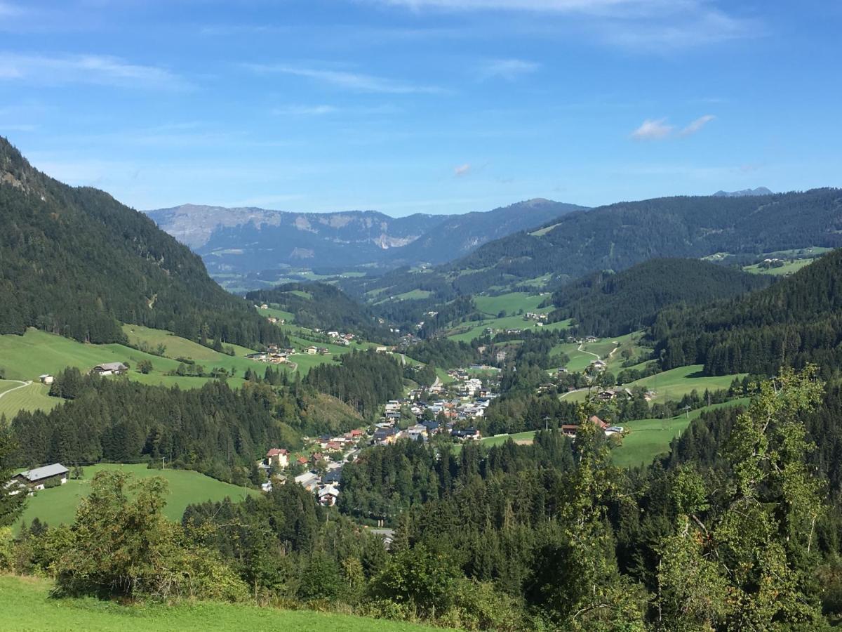 Apartment Kraemerhaus Annaberg, Dachstein West Ngoại thất bức ảnh